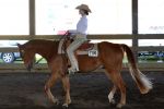 cheval02.jpg