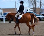 cheval03.jpg