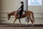 cheval04.jpg