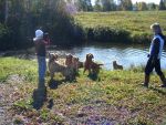 2009_automne04.jpg