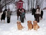 hiver2008.jpg